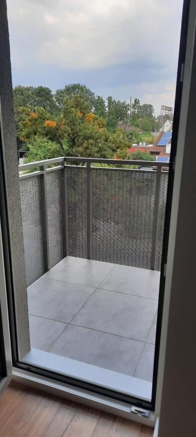 Apartament Nel Zielona Góra Zewnętrze zdjęcie
