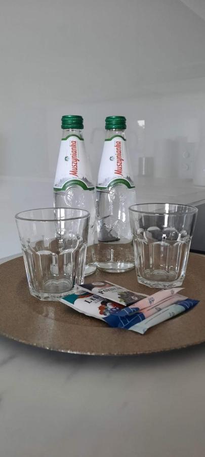 Apartament Nel Zielona Góra Zewnętrze zdjęcie